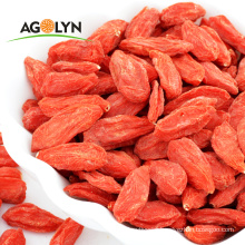 AGOLYN Pure natural Fruit Lycium Red Medlar